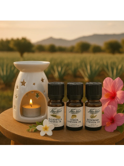 Dein Duft Ritual Paket – Ätherische Öle & Aromalampe