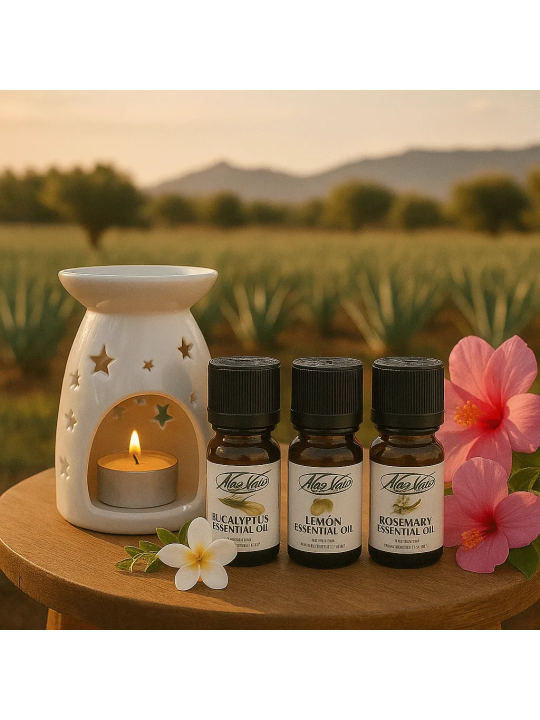 Foto del set Dein Duft Ritual compuesto por una lámpara de aroma de cerámica y tres aceites esenciales de la Aloe Vera Farm Mall