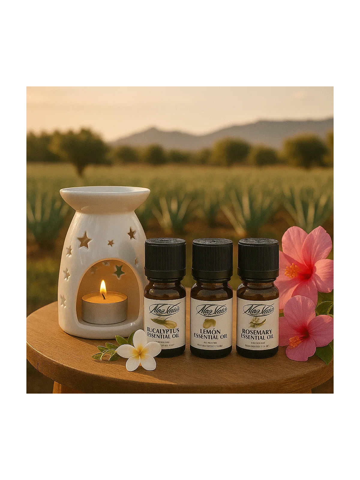 Bild des Sets Dein Duft Ritual bestehend aus Keramik Aromalampe und drei ätherischen Ölen der Aloe Vera Farm Mallorca