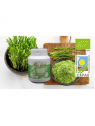 Biologisch tarwegras met biologische spirulina capsules