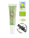 Aloe vera lip balm