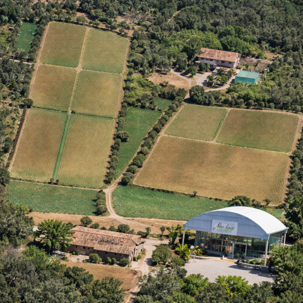 Kurze Wege vom Feld zur Produktion