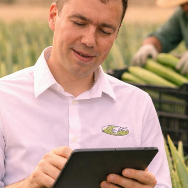 Ernte und Verarbeitung vor Ort