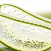 Aloe Blatt in Scheiben