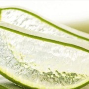 Aloe Blatt in Scheiben