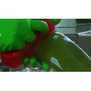 Blätter werden von Hand gewaschen