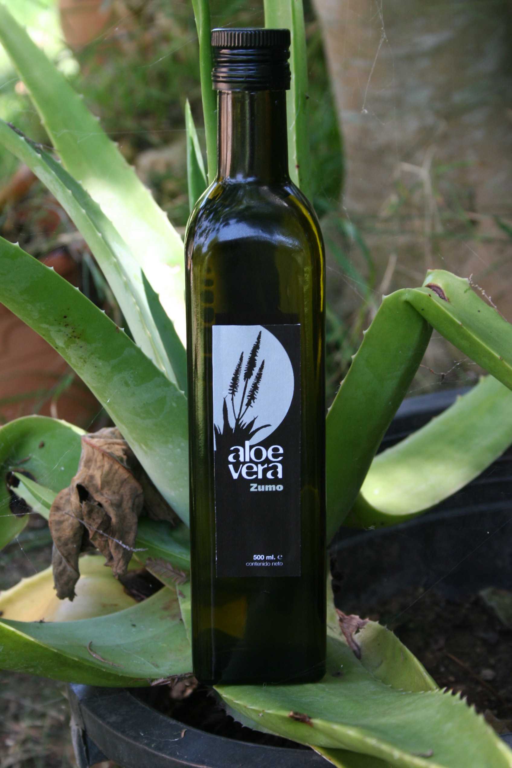 Aloe Vera Direktsaft aus biologischem Anbau