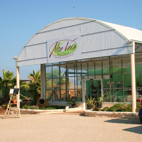 Aloe Vera Farm