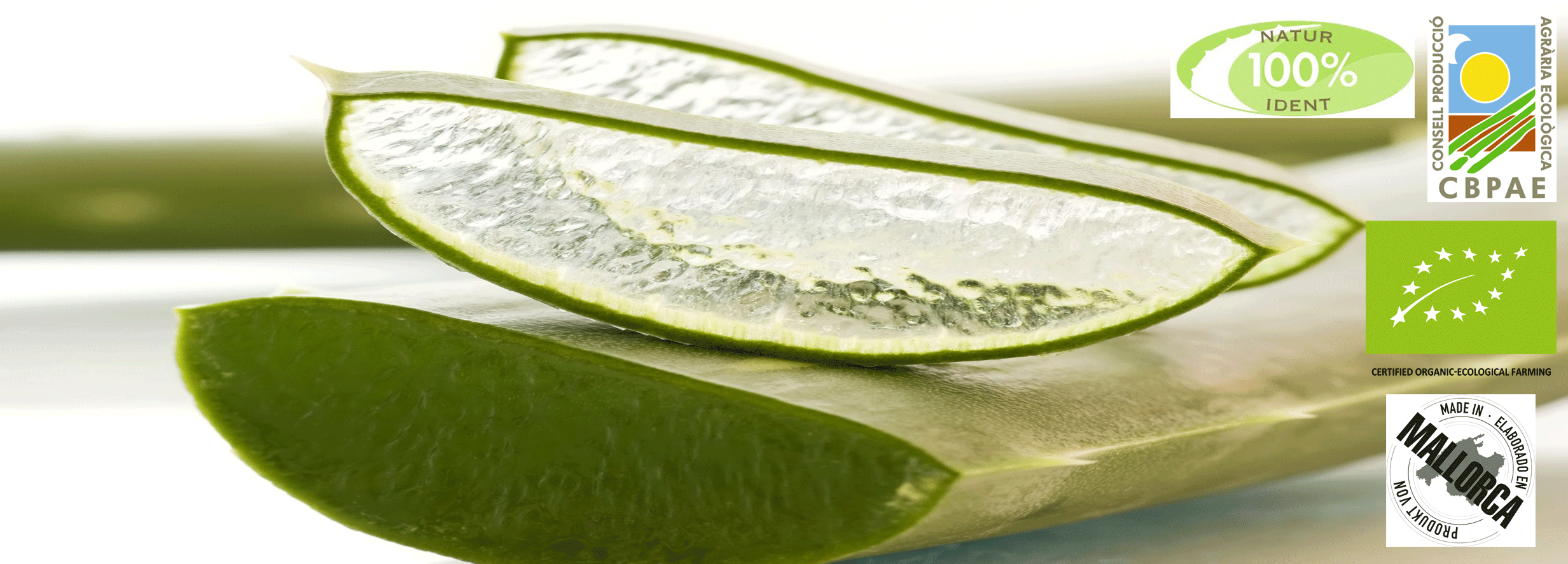 100% BIO Qualität direkt vom Erzeuger image